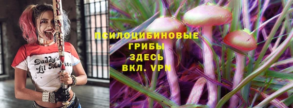 бошки Абинск