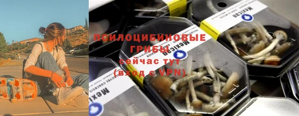 ГАЛЛЮЦИНОГЕННЫЕ ГРИБЫ Абдулино