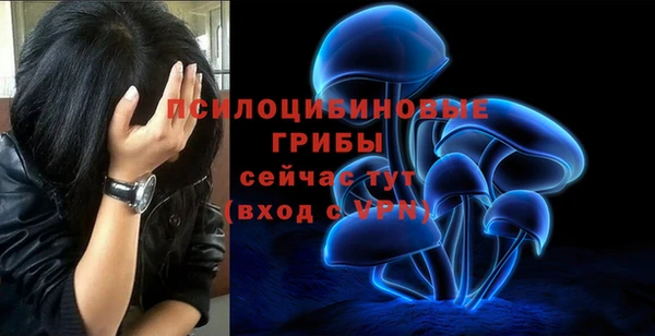 ПСИЛОЦИБИНОВЫЕ ГРИБЫ Сатка