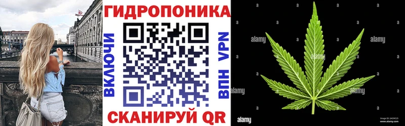 Бошки марихуана OG Kush Беломорск